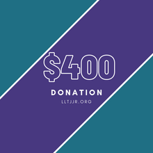 Load image into Gallery viewer, $100 - $500 Donation
